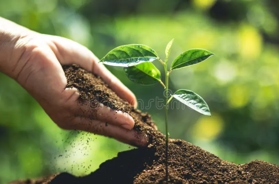 screenshot 2026 03 17 075143